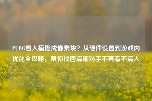 PUBG看人模糊成像素块?从硬件设置到游戏内优化全攻略,帮你找回清晰对手不再看不清人