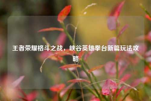 王者荣耀格斗之战,峡谷英雄拳台新篇玩法攻略