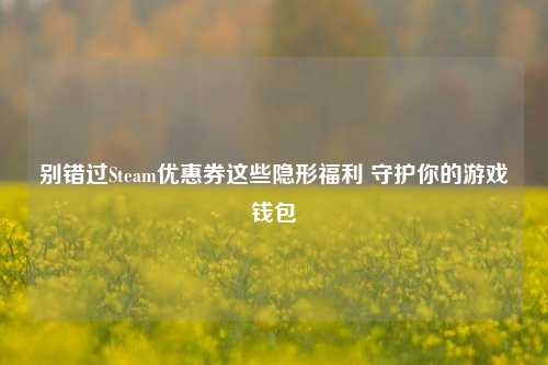 别错过Steam优惠券这些隐形福利 守护你的游戏钱包