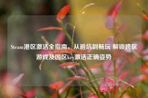 Steam港区激活全指南，从避坑到畅玩 解锁跨区游戏及国区key激活正确姿势