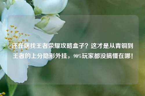 还在瞎找王者荣耀攻略盒子?这才是从青铜到王者的上分隐形外挂,90%玩家都没搞懂在哪!