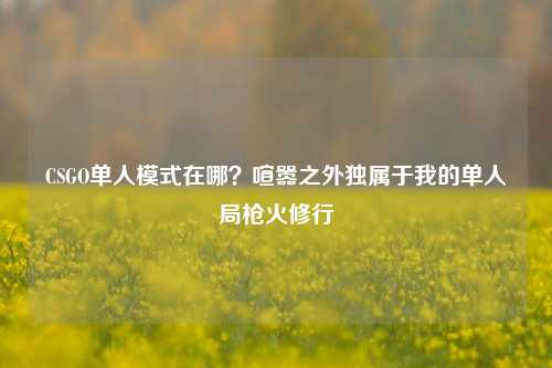 CSGO单人模式在哪？喧嚣之外独属于我的单人局枪火修行