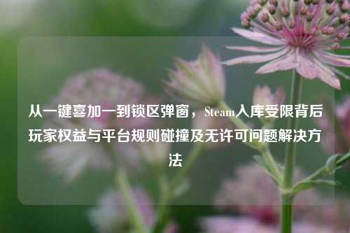 从一键喜加一到锁区弹窗,Steam入库受限背后玩家权益与平台规则碰撞及无许可问题解决方法