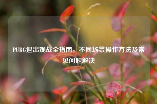 PUBG退出观战全指南,不同场景操作方法及常见问题解决