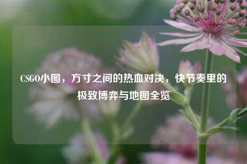 CSGO小图,方寸之间的热血对决,快节奏里的极致博弈与地图全览