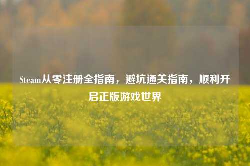 Steam从零注册全指南,避坑通关指南,顺利开启正版游戏世界