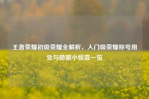 王者荣耀初级荣耀全解析,入门级荣耀称号用处与隐藏小惊喜一览