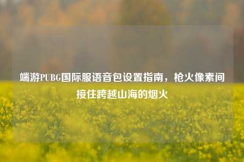 端游PUBG国际服语音包设置指南，枪火像素间接住跨越山海的烟火
