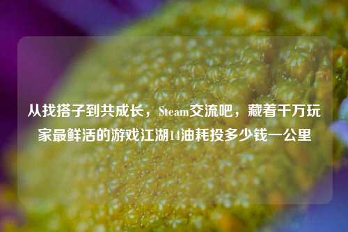 从找搭子到共成长,Steam交流吧,藏着千万玩家最鲜活的游戏江湖14油耗投多少钱一公里