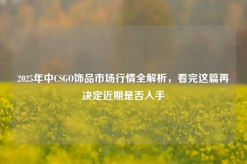 2025年中CSGO饰品市场行情全解析,看完这篇再决定近期是否入手