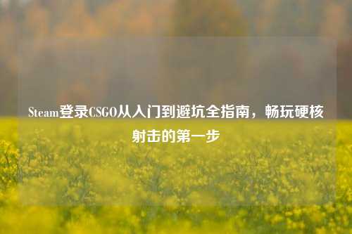 Steam登录CSGO从入门到避坑全指南,畅玩硬核射击的第一步