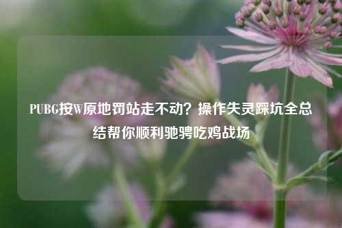 PUBG按W原地罚站走不动？操作失灵踩坑全总结帮你顺利驰骋吃鸡战场