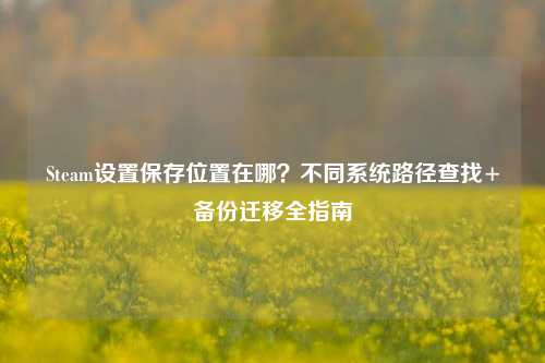 Steam设置保存位置在哪?不同系统路径查找+备份迁移全指南