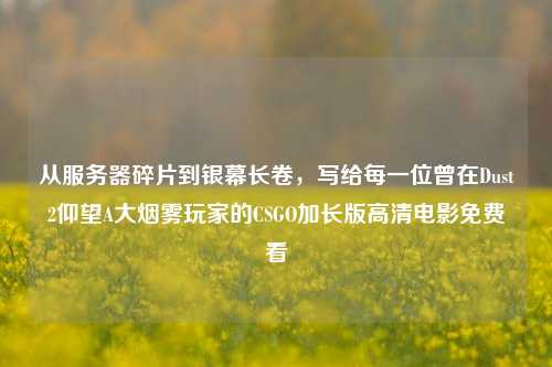 从服务器碎片到银幕长卷,写给每一位曾在Dust2仰望A大烟雾玩家的CSGO加长版高清电影免费看