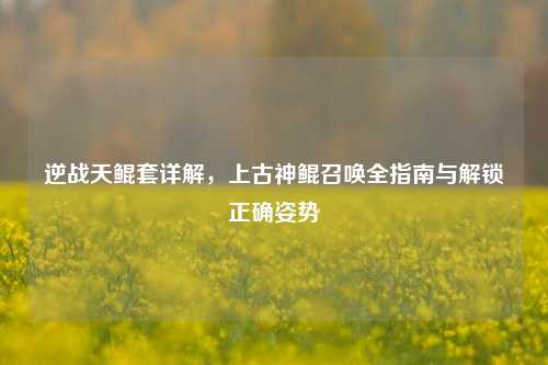 逆战天鲲套详解,上古神鲲召唤全指南与解锁正确姿势