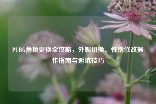 PUBG角色更换全攻略，外观切换、性别修改操作指南与避坑技巧