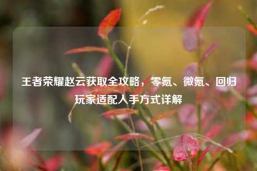 王者荣耀赵云获取全攻略,零氪、微氪、回归玩家适配入手方式详解