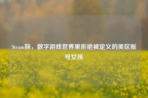 Steam妹，数字游戏世界里拒绝被定义的美区账号女孩