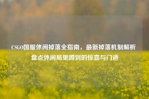 CSGO国服休闲掉落全指南,最新掉落机制解析 盘点休闲局里蹲到的惊喜与门道