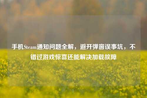 手机Steam通知问题全解,避开弹窗误事坑,不错过游戏惊喜还能解决加载故障