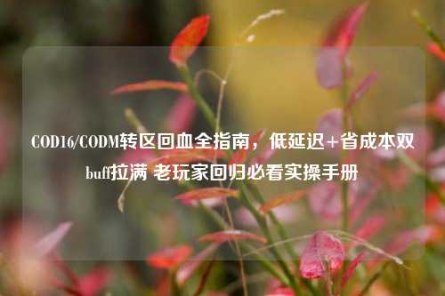 COD16/CODM转区回血全指南,低延迟+省成本双buff拉满 老玩家回归必看实操手册