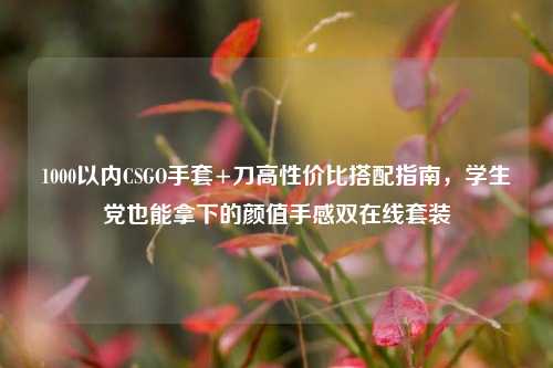 1000以内CSGO手套+刀高性价比搭配指南,学生党也能拿下的颜值手感双在线套装