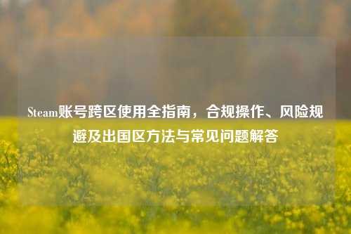 Steam账号跨区使用全指南，合规操作、风险规避及出国区方法与常见问题解答
