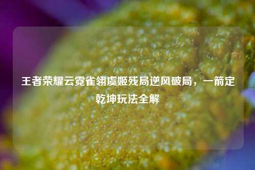 王者荣耀云霓雀翎虞姬残局逆风破局,一箭定乾坤玩法全解
