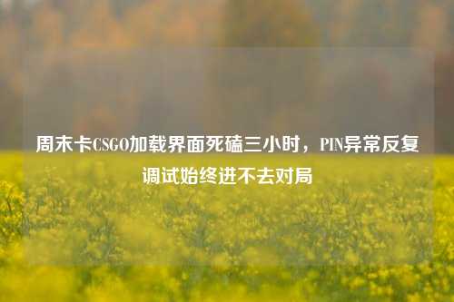 周末卡CSGO加载界面死磕三小时，PIN异常反复调试始终进不去对局