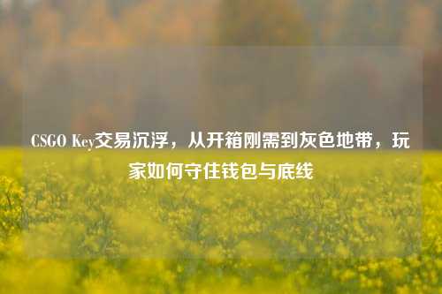 CSGO Key交易沉浮，从开箱刚需到灰色地带，玩家如何守住钱包与底线
