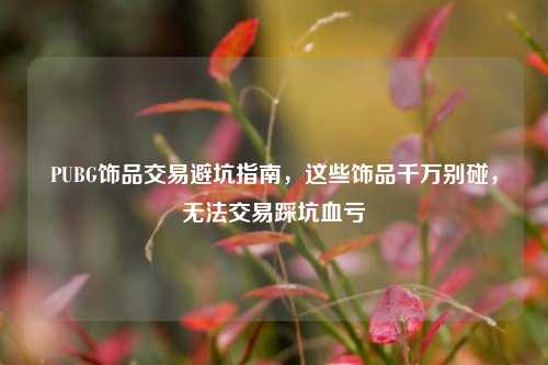 PUBG饰品交易避坑指南,这些饰品千万别碰,无法交易踩坑血亏