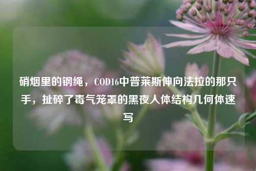 硝烟里的钢绳,COD16中普莱斯伸向法拉的那只手,扯碎了毒气笼罩的黑夜人体结构几何体速写