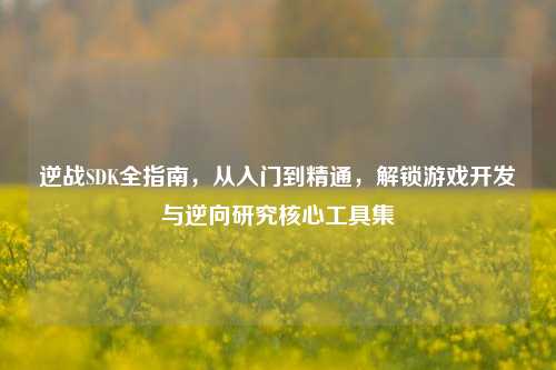 逆战SDK全指南,从入门到精通,解锁游戏开发与逆向研究核心工具集