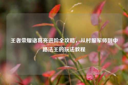 王者荣耀诸葛亮进阶全攻略,从村服军师到中路法王的玩法教程