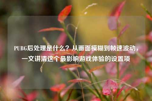 PUBG后处理是什么?从画面模糊到帧速波动,一文讲清这个最影响游戏体验的设置项