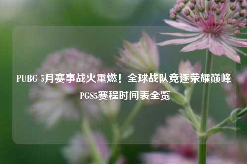 PUBG 5月赛事战火重燃!全球战队竞逐荣耀巅峰 PGS5赛程时间表全览