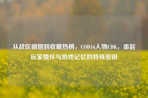从战区硝烟到收藏热榜，COD16人物CDK，串起玩家情怀与游戏记忆的特殊密钥