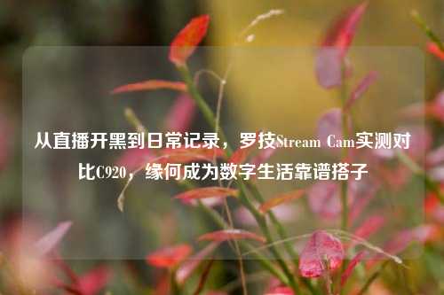 从直播开黑到日常记录,罗技Stream Cam实测对比C920,缘何成为数字生活靠谱搭子