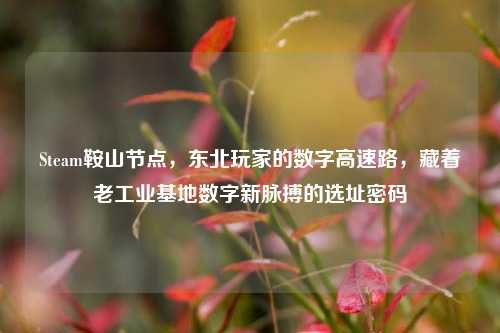 Steam鞍山节点,东北玩家的数字高速路,藏着老工业基地数字新脉搏的选址密码