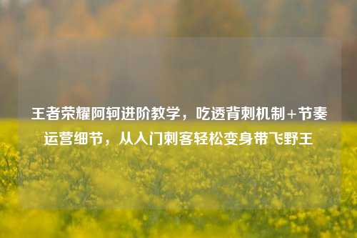 王者荣耀阿轲进阶教学,吃透背刺机制+节奏运营细节,从入门刺客轻松变身带飞野王