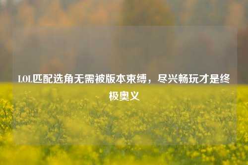 LOL匹配选角无需被版本束缚,尽兴畅玩才是终极奥义
