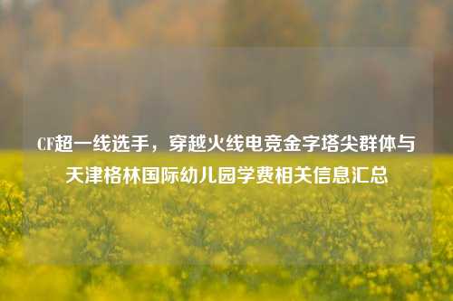 CF超一线选手,穿越火线电竞金字塔尖群体与天津格林国际幼儿园学费相关信息汇总