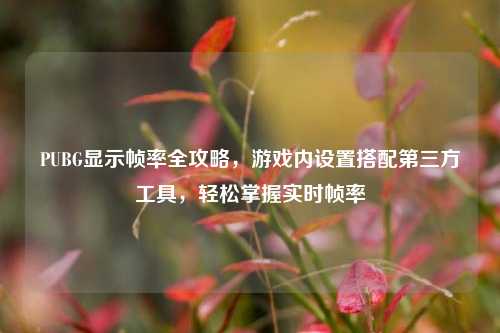 PUBG显示帧率全攻略,游戏内设置搭配第三方工具,轻松掌握实时帧率