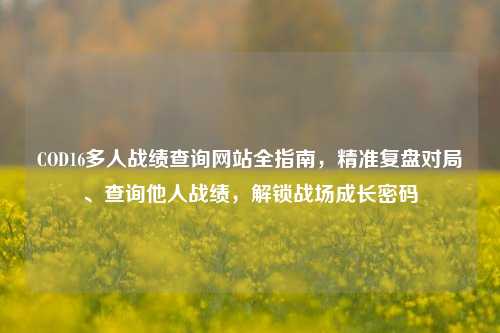 COD16多人战绩查询网站全指南，精准复盘对局、查询他人战绩，解锁战场成长密码