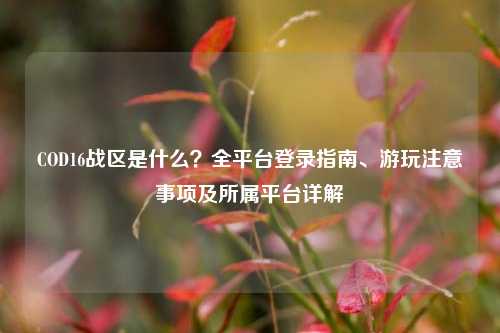 COD16战区是什么？全平台登录指南、游玩注意事项及所属平台详解