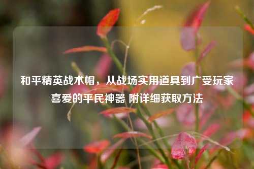 和平精英战术帽，从战场实用道具到广受玩家喜爱的平民神器 附详细获取方法