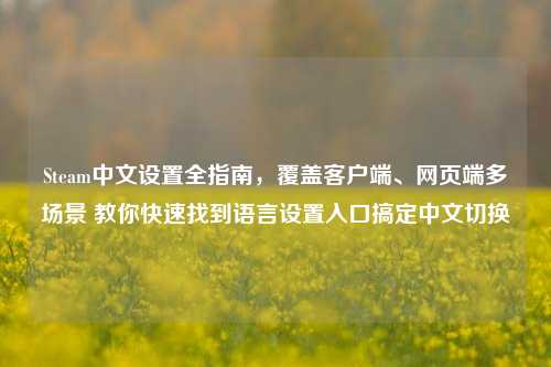 Steam中文设置全指南,覆盖客户端、网页端多场景 教你快速找到语言设置入口搞定中文切换
