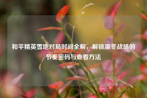 和平精英雪地对局时间全解,解锁凛冬战场的节奏密码与查看方法