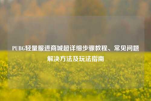 PUBG轻量服进商城超详细步骤教程、常见问题解决方法及玩法指南