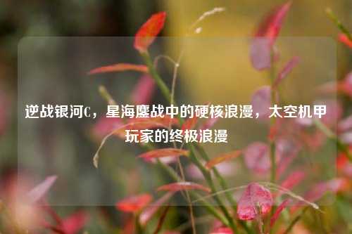 逆战银河C，星海鏖战中的硬核浪漫，太空机甲玩家的终极浪漫